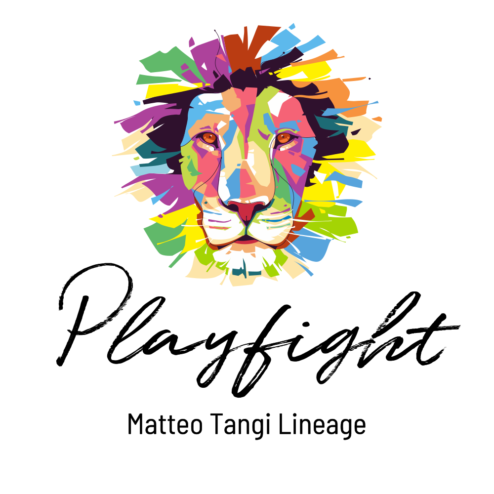 playfight身體對抗遊戲面對衝突